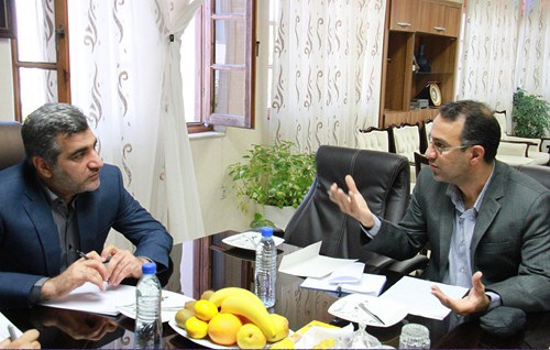 دولت الکترونیک