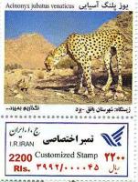تمبر