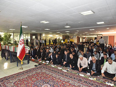 شهید