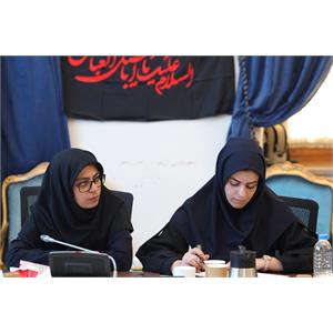 شورای راهبری توسعه شبکه ملی اطلاعات
