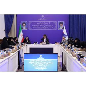 نشست اعضای فراکسیون زنان و خانواده مجلس با وزیر ارتباطات و فناوری اطلاعات