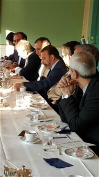 Vaezi Meets Swedish Public Administration Minister