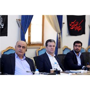 شورای راهبری توسعه شبکه ملی اطلاعات